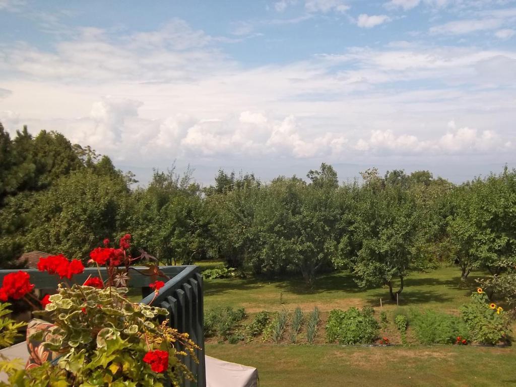 Gite La Halte Du Verger Bed And Breakfast Рив'єр-дю-Лу Екстер'єр фото